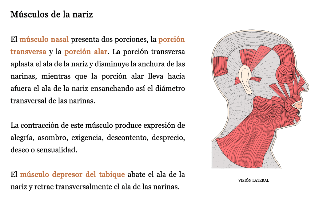 Vesicle Prostaty Mi az Prostatitis antibiotikus cím