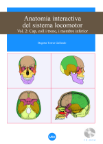 Anatomia interactiva del sistema locomotor. Vol. 2: Cap, coll i tronc, i membre inferior. (DVD+Llibret)